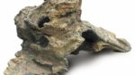 RockZolid Wurzel F