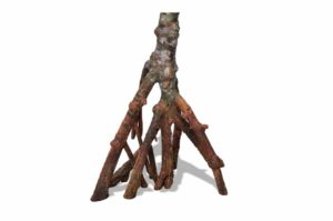 RockZolid Mangrove B