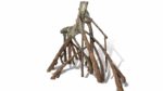RockZolid Mangrove D