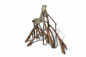 RockZolid Mangrove D