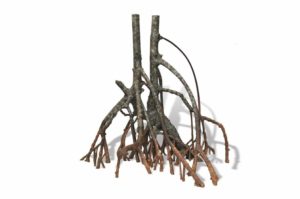 RockZolid Mangrove G