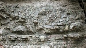 RockZolid Timor – Bild 2