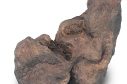 Komodo Stone K15