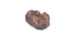 Komodo Stone K09