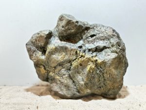 Papua River Stone 2 – Bild 2