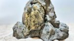 Raja Ampat Stone 3