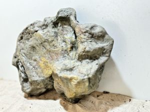 Papua River Stone 2 – Bild 3