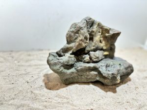 Papua River Stone 5 – Bild 3