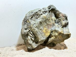 Papua River Stone 2 – Bild 4