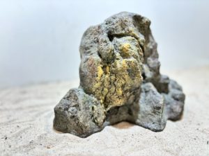 Raja Ampat Stone 3 – Bild 3