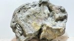 Papua River Stone 2