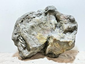 Papua River Stone 2