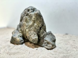 Raja Ampat Stone 3 – Bild 5