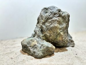 Raja Ampat Stone 3 – Bild 6
