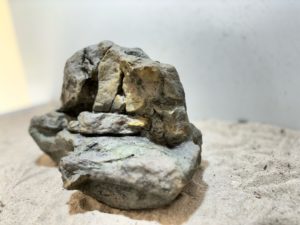 Papua River Stone 5 – Bild 7