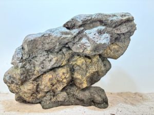 Raja Ampat Stone 9