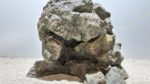 Raja Ampat Stone 7