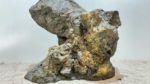 Raja Ampat Stone 5