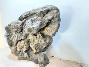 Raja Ampat Stone 9 – Bild 2