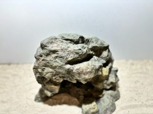 Raja Ampat Stone 7 – Bild 4
