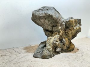 Raja Ampat Stone 5 – Bild 2