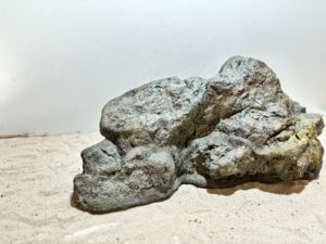 Raja Ampat Stone 8 – Bild 4
