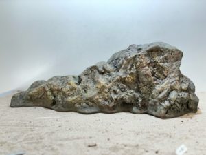 Raja Ampat Stone 10 – Bild 4