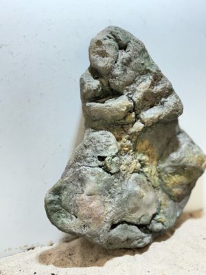 Papua River Stone 1 – Bild 4