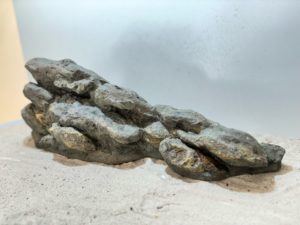 Raja Ampat Stone 10 – Bild 3