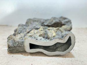 Raja Ampat Stone 9 – Bild 6