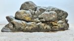 Raja Ampat Stone 8