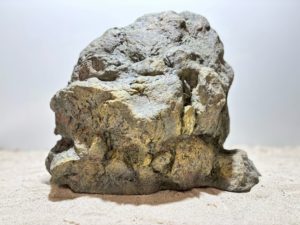 Raja Ampat Stone 7 – Bild 7