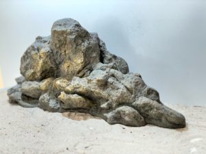 Raja Ampat Stone 11 – Bild 5