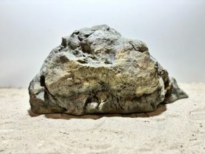 Raja Ampat Stone 6 – Bild 5